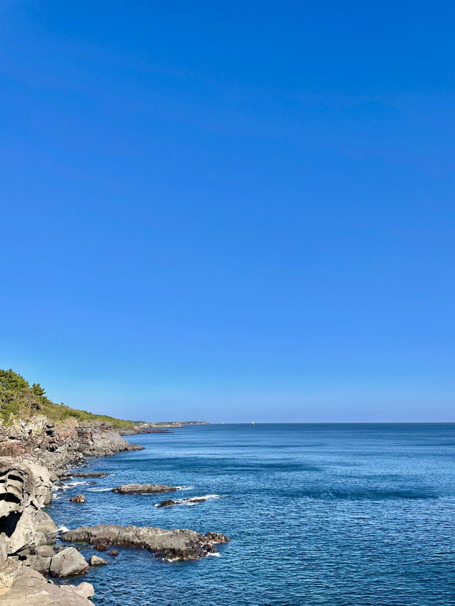 🌊 제주 여행 추천 관광지 & 인생샷 명소, 봄의 낭만!