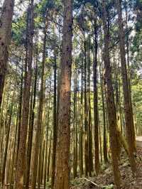 【神奈川】鍋割山⛰️