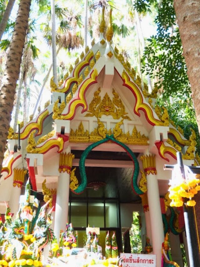 🌺 คำชะโนด