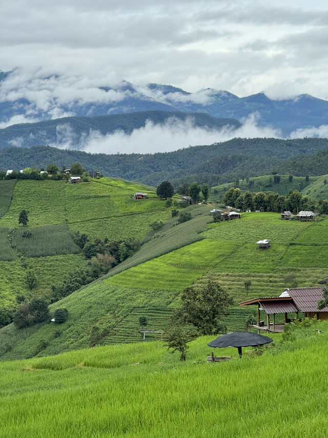 ที่พักบ้านป่าบงเปียง จ.เชียงใหม่ 🏡⛰️🌦️🌾