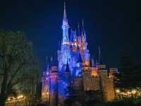 Absolutely magical at Tokyo Disney Land