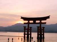 【広島⛩️宮島】海に佇む鳥居🌅美しい世界遺産✨