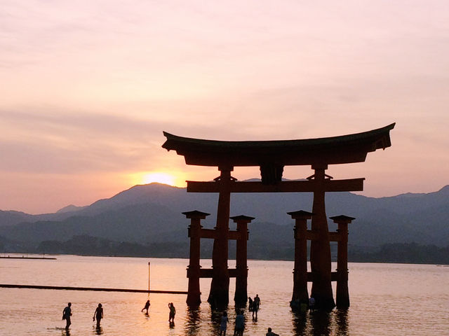 【広島⛩️宮島】海に佇む鳥居🌅美しい世界遺産✨