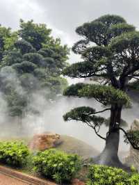 A scenic classical garden in Hong Kong you can’t miss…