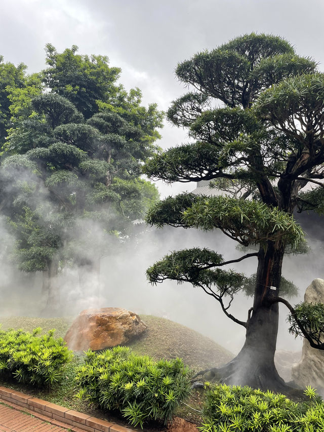 A scenic classical garden in Hong Kong you can’t miss…