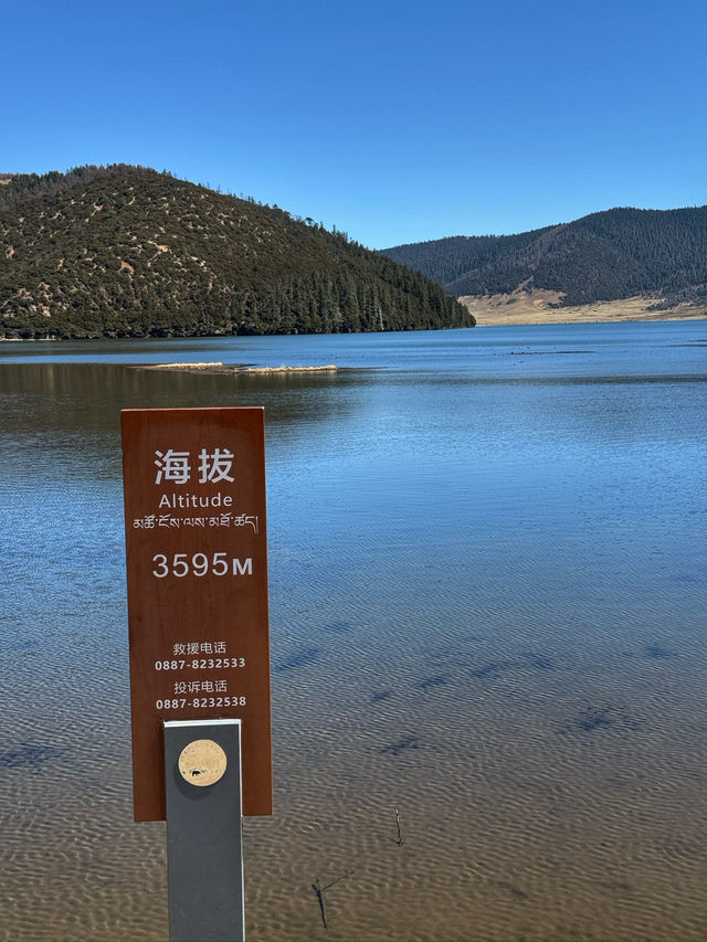 A Peaceful Escape into Nature: Discovering the Beauty of Potatso National Park (普达措国家公园)