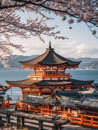 Sakura by the Sea: Enoshima’s Blossoms and Ocean Views