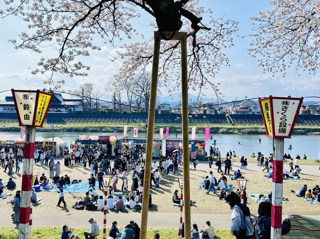 🇯🇵仙台 你有看過河邊櫻花隧道嗎？🌸
