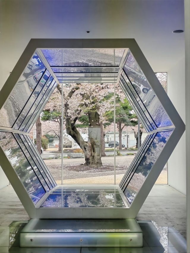 Towada Art Center Sakura | Where Petals Meet Installations