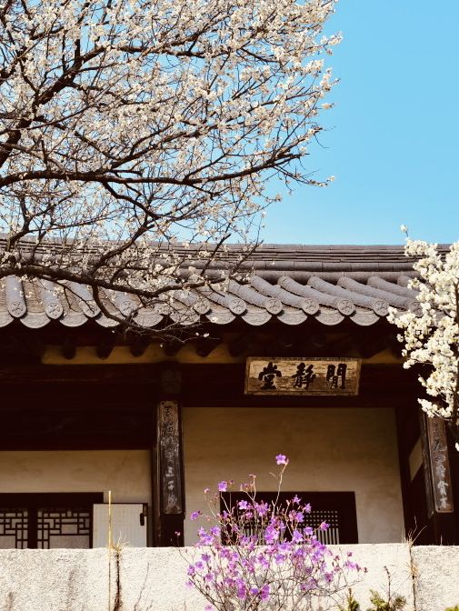 Planning Your Late April Visit Changdeokgung Palace