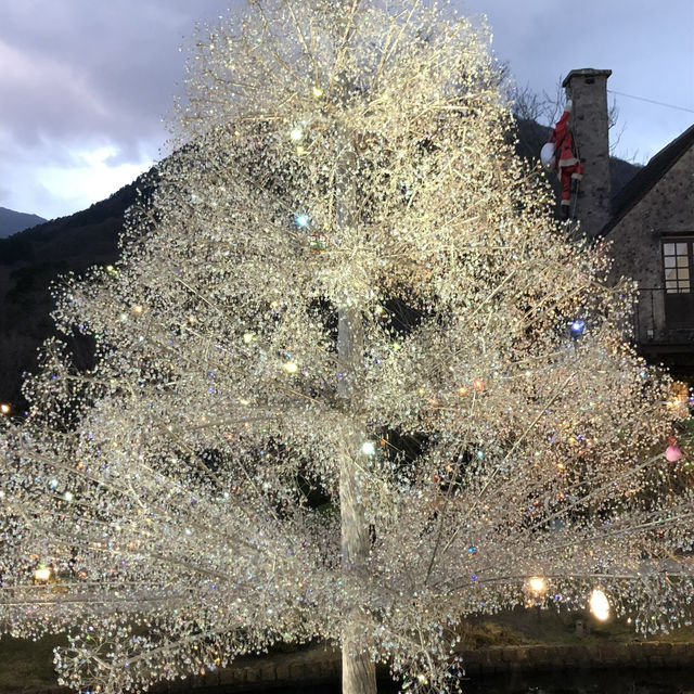 【箱根🇯🇵】キラキラと輝く✨ ガラスの森美術館