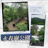 ～永春崗公園～綠意如織～