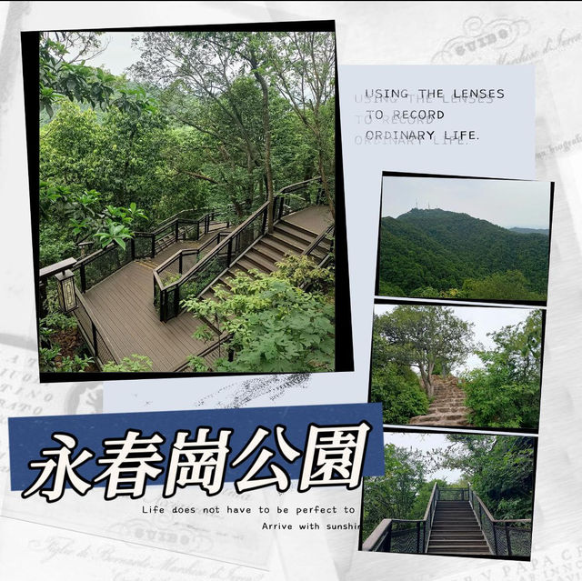 ～永春崗公園～綠意如織～