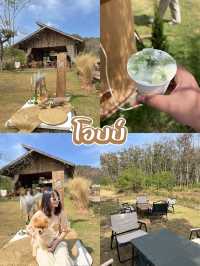 มัดรวมคาเฟ่ ระยอง