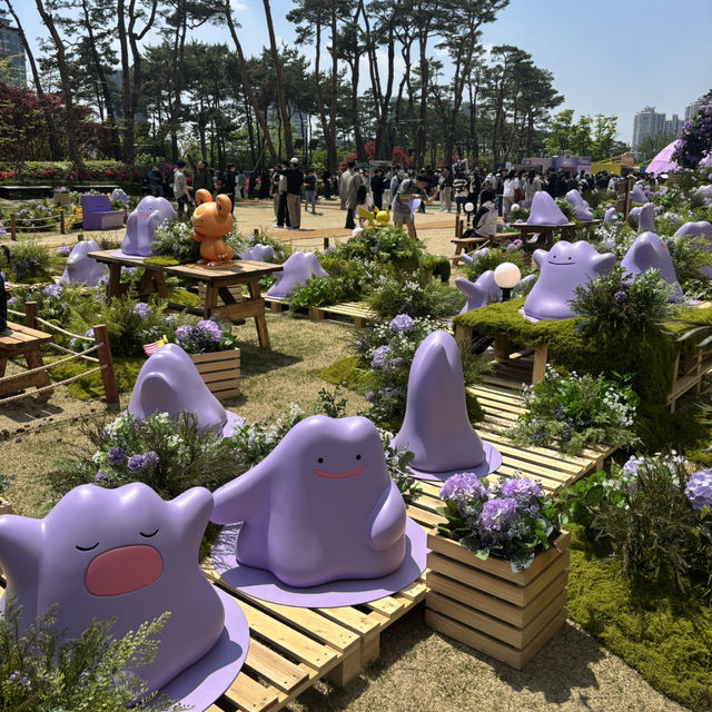 【韓国】可愛すぎる💜ポケモンタウン2025