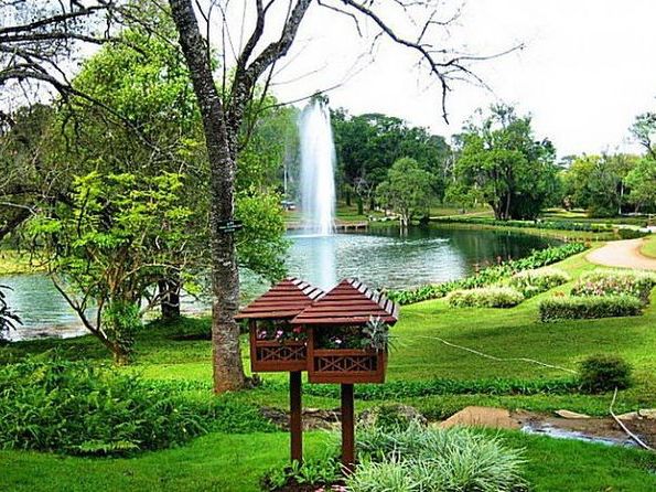 🌿 Pyin Oo Lwin Perfection: Flowers, Horse Carts & the Best Coffee in Myanmar ☕  