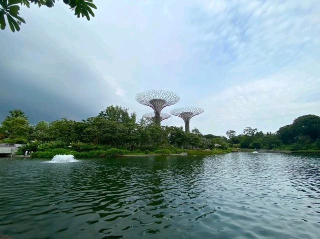A Walk Through the Future: Exploring Gardens by the Bay, Singapore