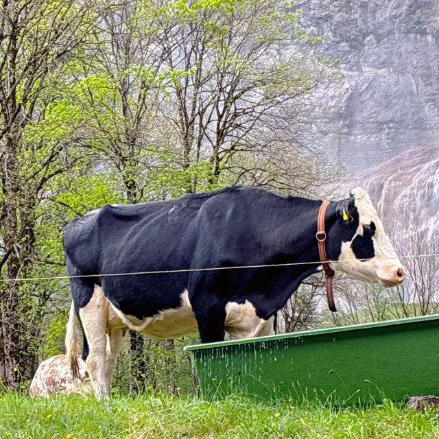 ラウターブルンネン（Lauterbrunnen）