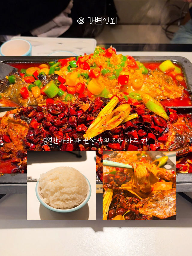 맛있는 음식 꽉 채워서 먹은 2일차 코스! 안보면 후회! ⚠️