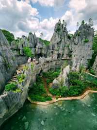 Rainforest Wild Asia – A Hidden Gem for Nature Enthusiasts