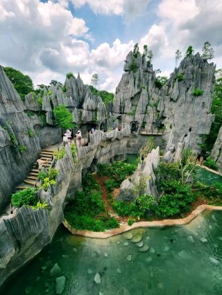 Rainforest Wild Asia – A Hidden Gem for Nature Enthusiasts