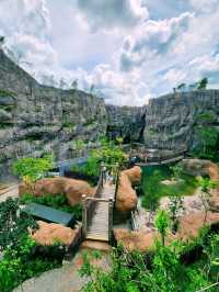 Rainforest Wild Asia – A Hidden Gem for Nature Enthusiasts