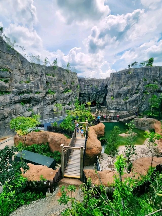 Rainforest Wild Asia – A Hidden Gem for Nature Enthusiasts
