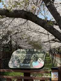 진해 가족 여행 떠나보아요 