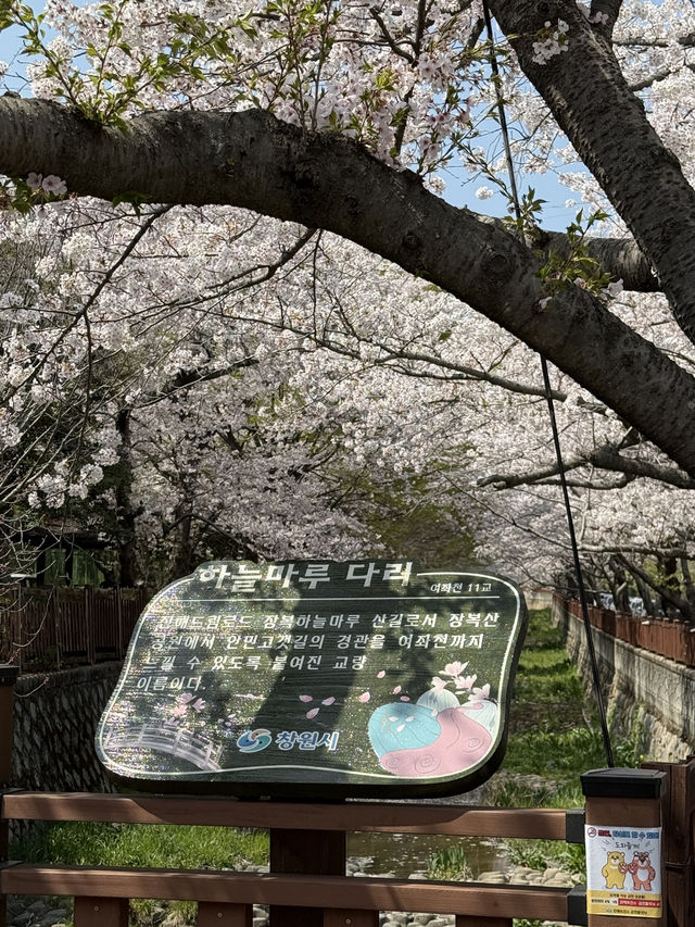 진해 가족 여행 떠나보아요 