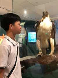 Museum 