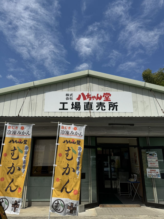 【福岡観光】お土産にも喜ばれる！工場直売のお得なたこ焼き🐙