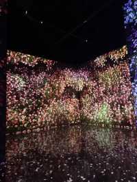 ｛韓國釜山｝ 韓國最大的藝術燈影博物館 - 釜山Arte Museum