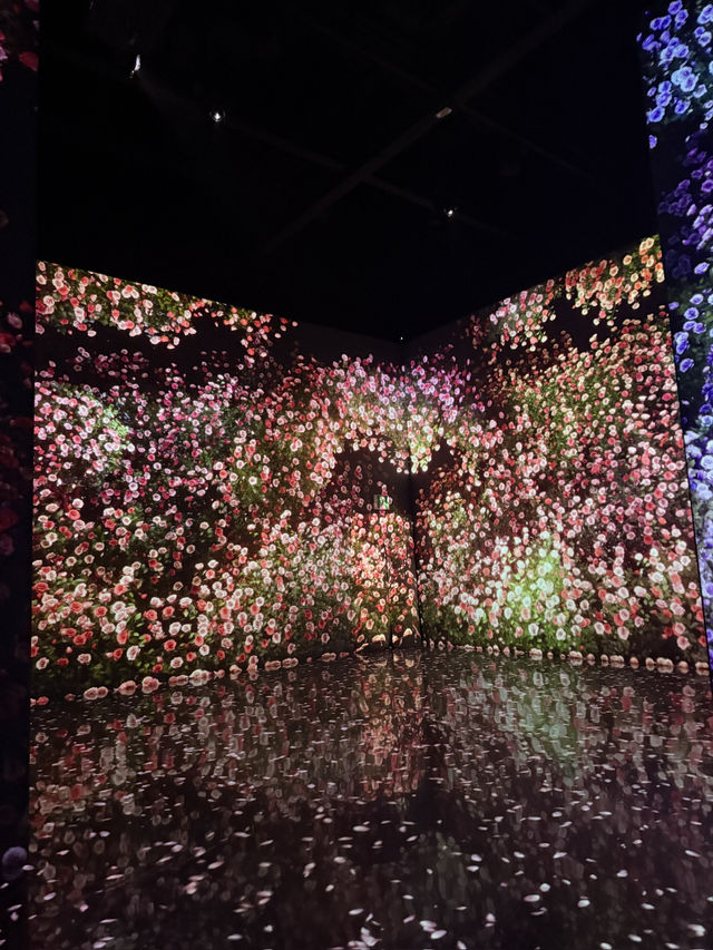 ｛韓國釜山｝ 韓國最大的藝術燈影博物館 - 釜山Arte Museum