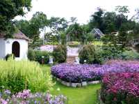 The peak flower land