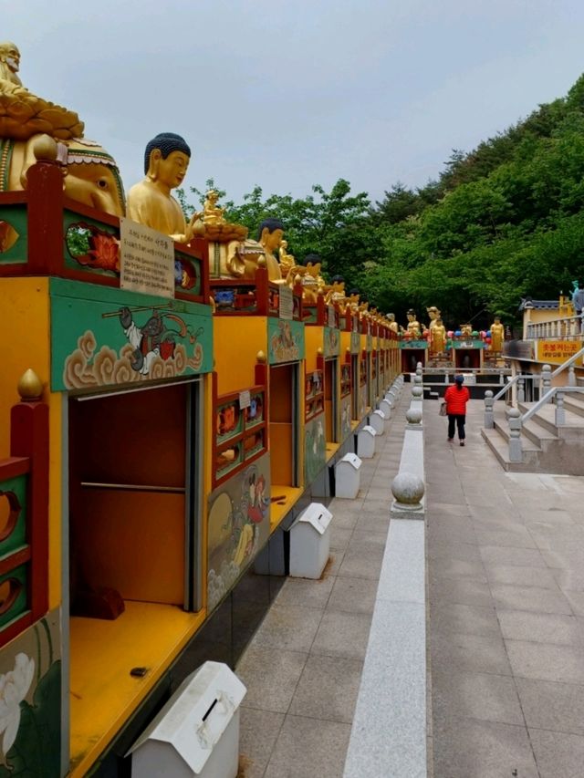 부처님 오신 날, 가족과 함께하는 소원사 나들이