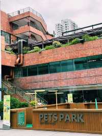沙田新城市廣場寵物同樂園｜靚景打卡好去處
