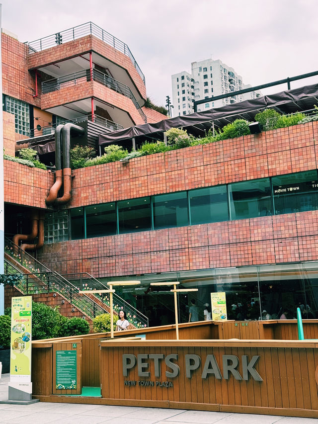 沙田新城市廣場寵物同樂園｜靚景打卡好去處