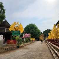 วัดพันเตา เชียงใหม่