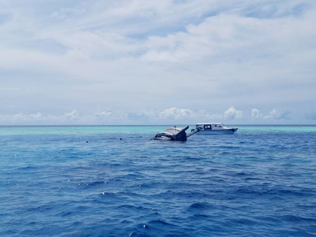 🧜‍♀️💙🩵馬爾代夫必訪浮潛景點🩵💙