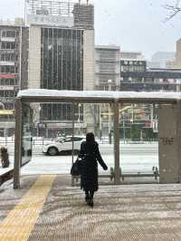 A Snowy Day in Sapporo – Cold Hands, Warm Food & Sweet Finds☃️