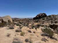 Joshua Tree National Park – CA