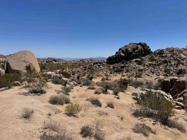 Joshua Tree National Park – CA