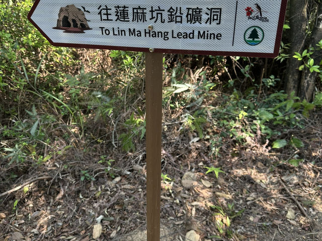 探險紅花嶺：沙頭角的自然與歷史之旅
