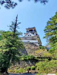 Local Wandering in Kōchi – Castles, Coastlines & Quiet Moments