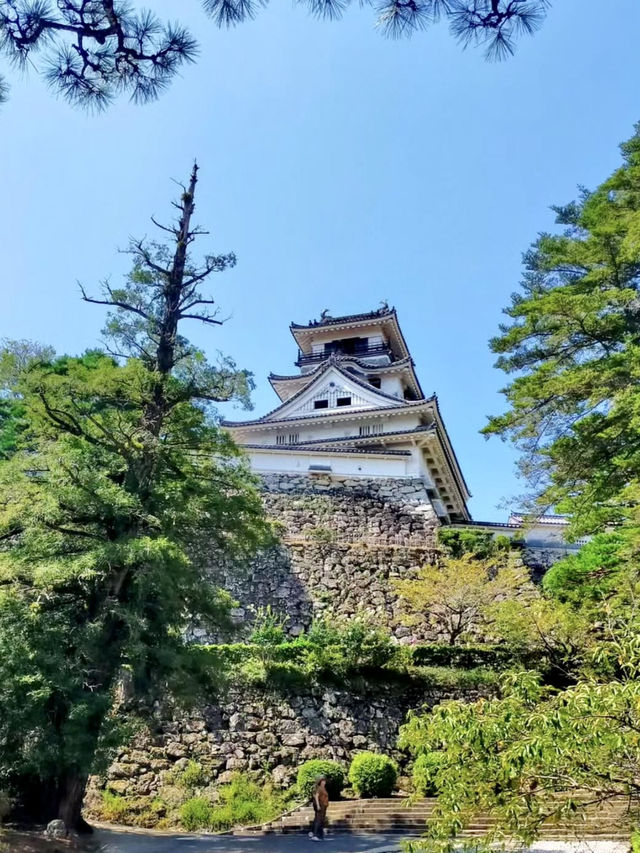 Local Wandering in Kōchi – Castles, Coastlines & Quiet Moments
