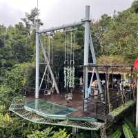 Immersed in Nature: Exploring Yanoda Rainforest in Hainan 