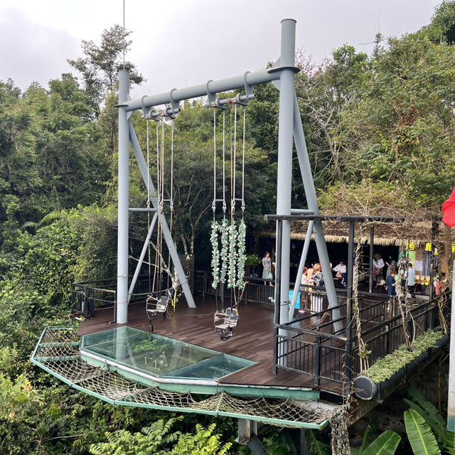 Immersed in Nature: Exploring Yanoda Rainforest in Hainan 