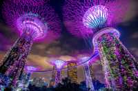 Lost in the Magic of Singapore