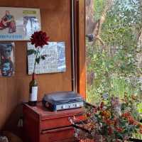 9998 Cafe คาเฟ่สไตล์วินเทจ เกาะล้าน, ชลบุรี