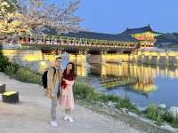 Moonlight & Cherry Blossoms – A Magical Night at Woljeonggyo Bridge